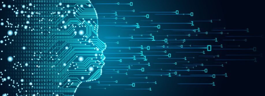 Promo LTD Cover Image